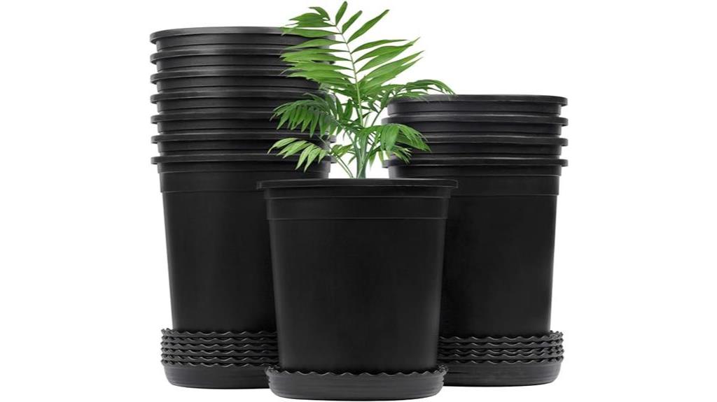 6 inch nursery pots