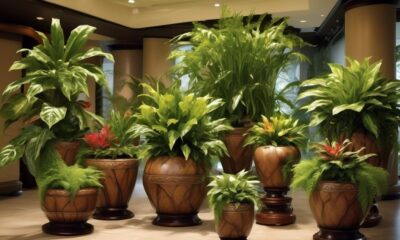 auto watering pots for indoor plants