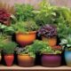 choosing plants for self watering pots
