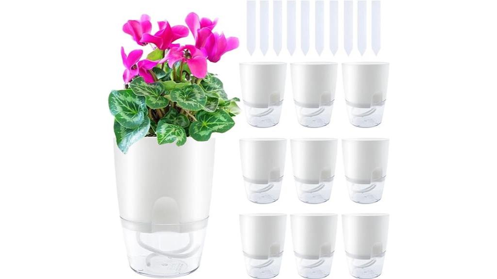 clear self watering planters