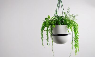convenient indoor plant watering
