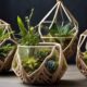 creative indoor plant display