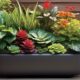 effectiveness of self watering planters