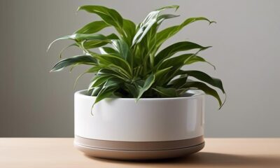 efficient and stylish planters