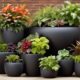 effortless plant care made easy