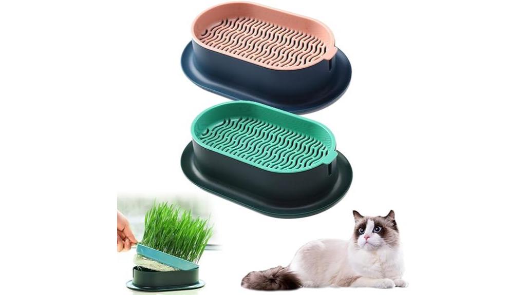 indoor cat grass planter