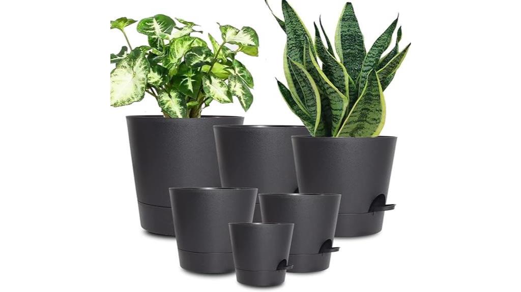 indoor plant care made easy