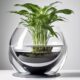 innovative self watering plant pots