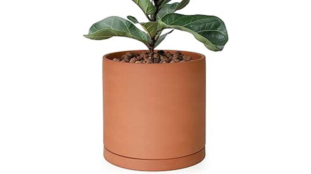large 10 inch terracotta pot