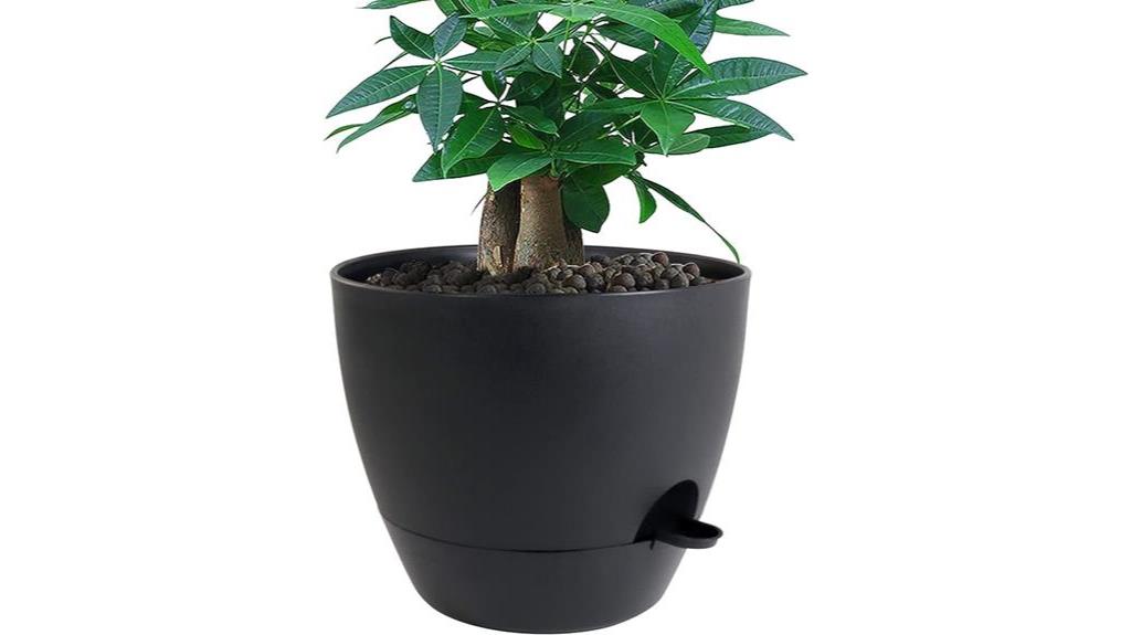 large self watering pots for plants