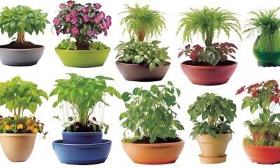 optimal conditions for self watering pots