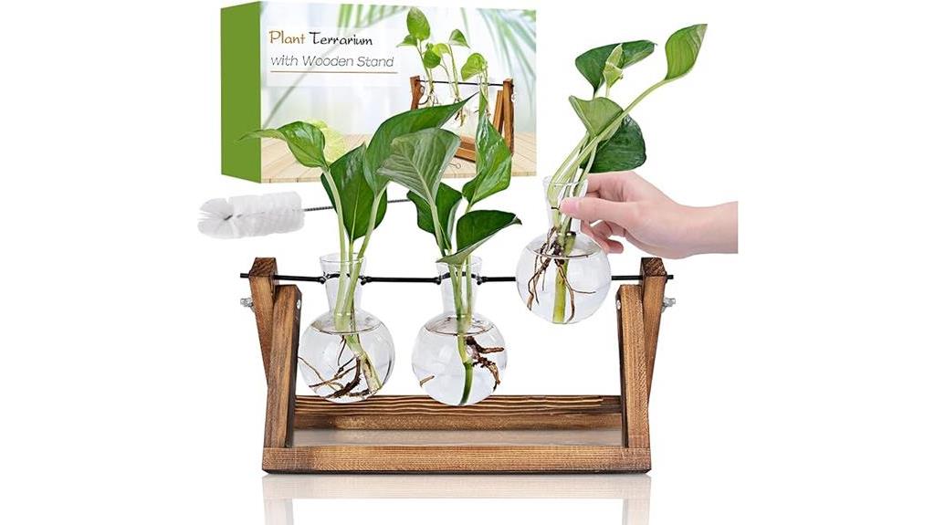 plant propagation with vases