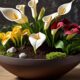planting calla lilies in self watering pots