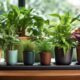 plants thrive in self watering pots