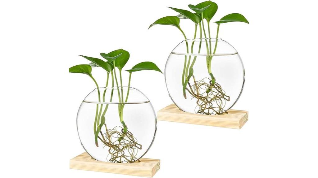 round glass planter with wooden stand