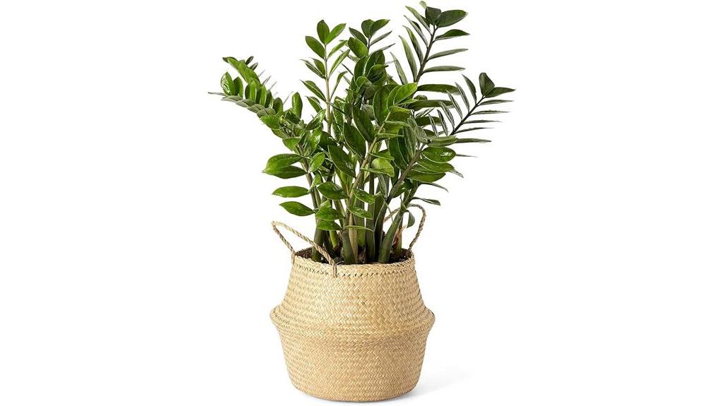 seagrass plant basket with liner and handles