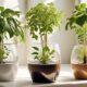 self watering plant pots explained