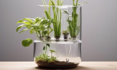 self watering plant pots solution