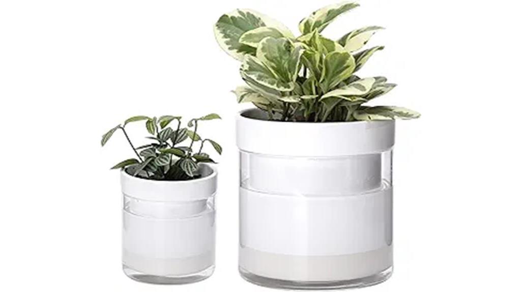 self watering planter for indoor plants