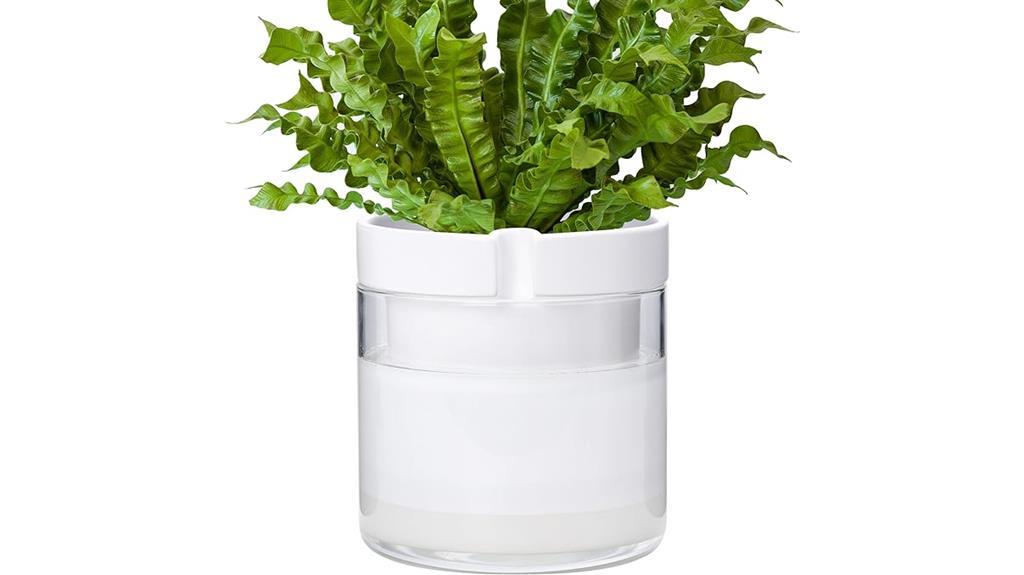 self watering terracotta planter