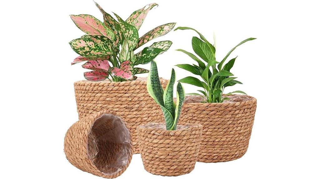 set of 4 seagrass planters