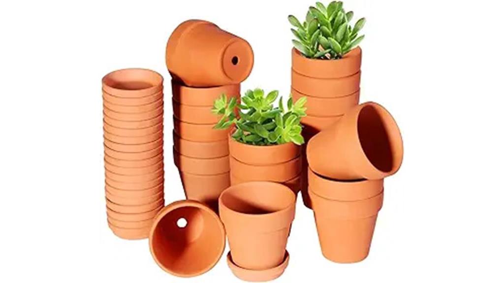 terracotta pots with saucer