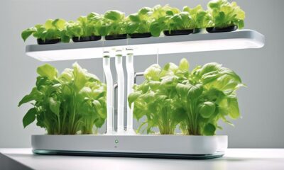 top hydroponic systems for indoor gardening