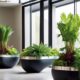 water free planters for healthy plants