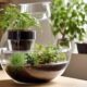 diy self watering plant pots