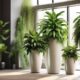 elevate your indoor garden