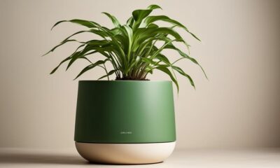 modern self watering pot recommendations