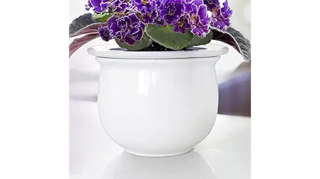 self watering african violet planter