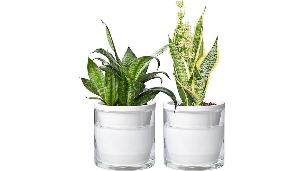 self watering indoor planters