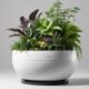 self watering planters for healthier plants