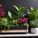 self watering planters for thriving plants