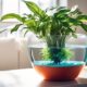 self watering pots for indoor plants