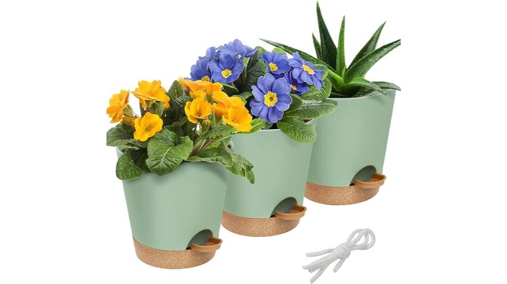 self watering pots for plants