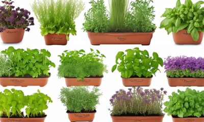 top picks for self watering pots