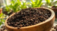 diy indoor plant soil