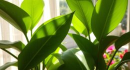 indoor to outdoor transition