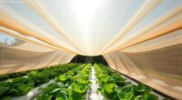 shade cloths for hydroponics