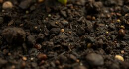 indoor soil microbes survival
