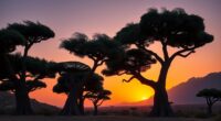 island winds influence umbrella shape