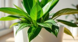 isolate new plant arrivals