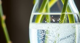 silica s stem strength benefits