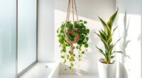 bathroom friendly indoor plants