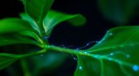 bioelectric signals in plants