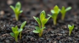 soil ph affects plant growth