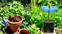 water efficient gardening methods