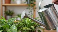 accurate indoor watering tool